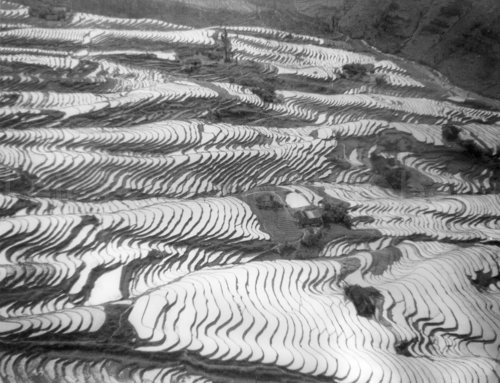 Reisfelder in Süd Szechuan 1934 - 1973