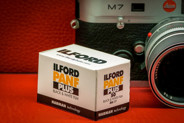 ILFORD PAN F PLUS 36 EXP. ISO50 - B&W Film